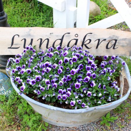 En træskylt i en blomlåda med texten "Lundåkra"